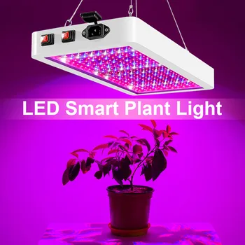 100W 200W celé Spektrum LED Rastlín Rastú Svetlo Rastúce svetlo s Zeleniny A Bloom Prepínač Režimu Na Kvet Rastliny Zelenina Hydroponics Systém
