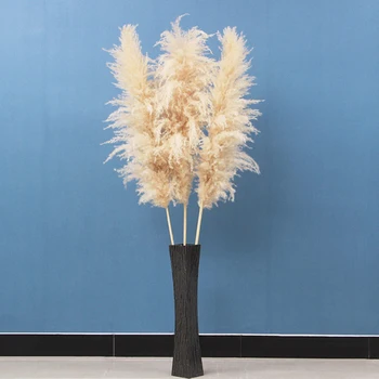 5 ks Svadobný špeciálne pampas trávy dekor veľké veľkosti Našuchorené perie svadobné kvety, rastliny, prírodné biele sušené kvety 55 cm