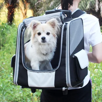 Pet mačka batoh vonkajšie prenosné psa taška vytiahnite tyč pet batoh vonkajšie cestovať s chovateľské potreby