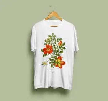Sunfiz Rakúskej Briar Rose Unisex Tričko- Botanická Ilustrácia, Botanické Umenie, Botaniky, Kvet Tričko, Rosa Foetida, Vintage