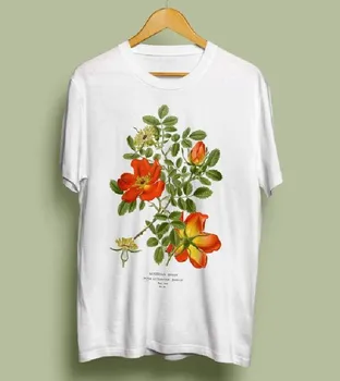 Sunfiz Rakúskej Briar Rose Unisex Tričko- Botanická Ilustrácia, Botanické Umenie, Botaniky, Kvet Tričko, Rosa Foetida, Vintage