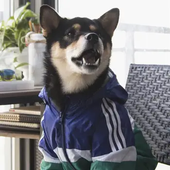 Nepremokavé Oblečenie pre psy pre Veľké Psy Pet Športové Mikiny Dážď Coats Zahustiť Outdoor Bunda Šteňa Pršiplášť Kostým domáce zvieratá