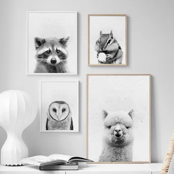 Black White Alpaky Veverička Mýval Zvieratá Wall Art Plátno Na Maľovanie Nordic Plagáty A Vytlačí Na Stenu Obrázky Obývacia Izba Dekor