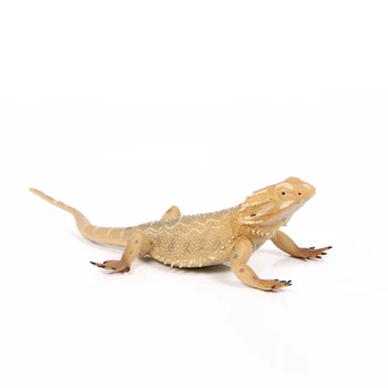 Akcia Hračky Obrázok modely Zvierat Žijúcich Zoo Lizard Ježko Groundhog Pangolin Simulácia Figúrka Na Domáce Záhradné dekorácie, Hračky