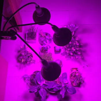 Celé Spektrum 290 LED kvetov Rastlín Svetlá Hydroponics Rásť Lampa Stan Skleníkových Rast Rastlín NÁM EÚ Konektor, Klip Stôl
