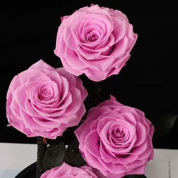 Nový Príchod Večného Konzervované Rose so Sklenenou Kupolou 5 Kvet Hlavy Rose Navždy Milovať Svadobné Prospech Strany Darčeky pre Ženy