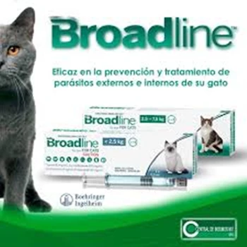 Broadline Na Mieste Riešenie Pre Mačky