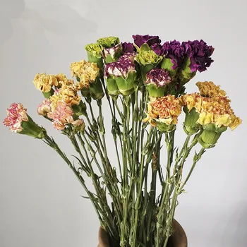Kytice Zo Sušených Klinček Kvety Na Ozdobu Vzduchu-Sušené Kytice Skutočné Kvety Kreatívne Darčeky Domáce Dekorácie JH62