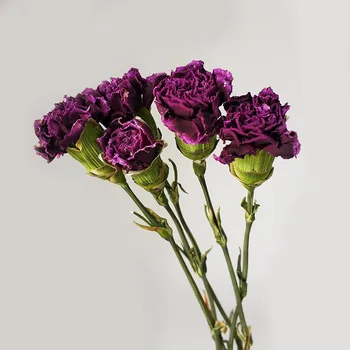 Kytice Zo Sušených Klinček Kvety Na Ozdobu Vzduchu-Sušené Kytice Skutočné Kvety Kreatívne Darčeky Domáce Dekorácie JH62