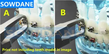 Zubné Ortodontická Držiak Odstránenie Plier Zubné Rovnátka Odstraňovač Forcep Rovno tip Zubné Nástroj Nástroj Konzola Tweezer