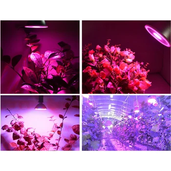 PAR38 Led rastlín Rastú žiarovky phyto lampa Hydro pestovanie zeleninových semien, pestovanie cibule skleníkových pre Kvetu rastlín, Sadeníc