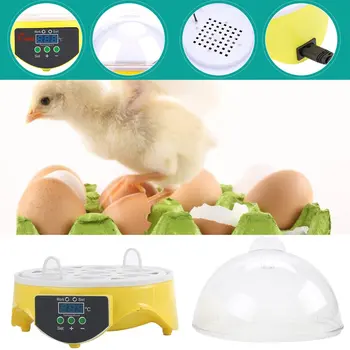 7 Vajec Kapacita Slepačie Vajcia Vtákov Inkubátor Vajcia Rack Zásobník Automatické Inteligentné riadiace Prepelica Papagáj Inkubačná Nástroj EÚ Plug