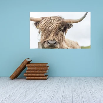 Tlačené Steny Umenie Highland Krava Tlač a Poster Dobytok, Plátno Art Obrazy na Obývacia Izba Dekor Dekorácie Frameless
