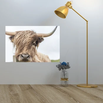 Tlačené Steny Umenie Highland Krava Tlač a Poster Dobytok, Plátno Art Obrazy na Obývacia Izba Dekor Dekorácie Frameless