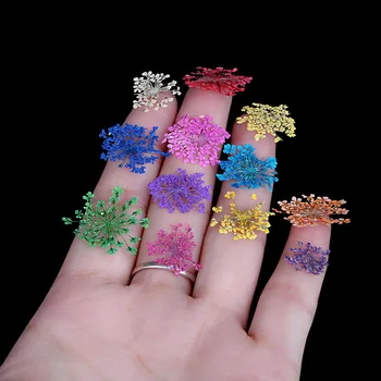 Addfavor Suché Kvety Nail Art Dekorácie 3D Nail Art Kvetinovú Nálepku Babysbreath DIY Tipy Manikúra Nástroje, 12 Farieb/Box