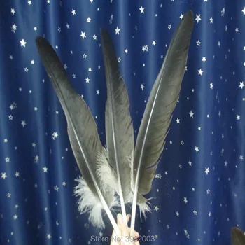 10 ks vzácnych prírodných eagle perie dĺžka 50-65 cm/20-26 palcový DIY hawk pierko ornament dekorácie