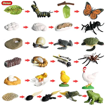 Oenux Zvieratá Cyklu Rastu Model Simulácie Butterfly Pre Korytnačky, Žaby Akčná Figúrka Postavy Krásne Baby Vzdelávacie Deti Hračka