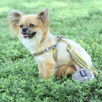 Mäkké Psa na Postroj a Vodítko Nastaviť Nastaviteľný Chihuahua Obojok Pre Malé a Stredné Psy Pet Products Prechádzky
