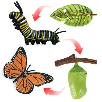 Deti Kognitívne Vzdelávacie Hračky Simulácia Zvierat, Hmyzu Model Mini Animal Butterfly Cyklu Rastu Ozdoby