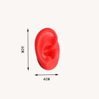 Mäkké silikónové simulácia ľudské ucho trhanie masáž model 1:1 životnej Veľkosti Pre Ucho Akupunktúra Stlačte Ihly sluchadla displej