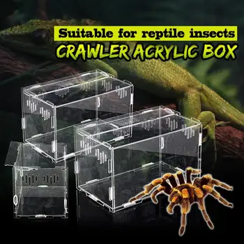 Obojživelník Kŕmenie Box Pet Plaz Transparentné Kŕmenie Box Had Chov Box Spider Lizard Scorpion Stonožka Šitie Box