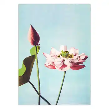 Lotosový Kvet Plagát Vintage Poster Starožitné Plátno Tlačiť Ogawa Kazumasa Japonské Steny Umenie Plagáty Vytlačí Obrázok Domáce Dekorácie