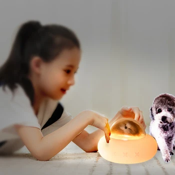 LED Pet Nočné Svetlo Dotykový Senzor 7 Farieb Stmievateľné Časovač USB Nabíjateľné Silikónové kozmickú Loď, Nočné Lampy, Narodeninové Darčeky