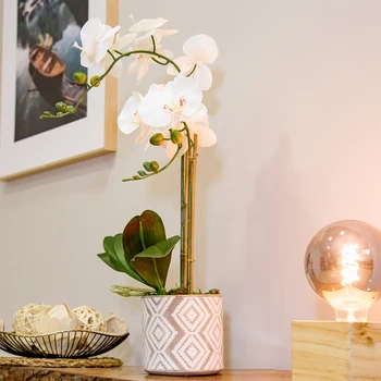 Umelé orchidea, výška 65 cm, Phalaenopsis, keramické nádoby, Ideálny pre domáce dekorácie, Dotyk prirodzené
