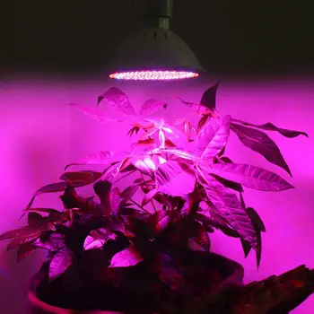 24W E27 60 LED Rásť Svetlo Červená Modrá UV IR Led Rastie Lampa pre Hydroponics Kvety, Rastliny, Zelenina Zelenina Rastlín AC 85-265V