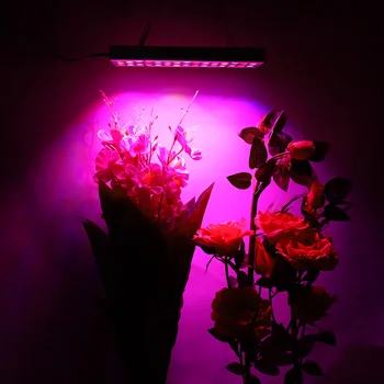 10Pcs/Veľa 25W LED Rastlín Rastú Svetlo AC85-265V 75 led celé Spektrum Led Panel na Čítanie pre Vnútorné Kvetu rastlín Vegs Skleníkových Stan