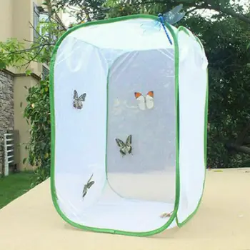 Skladacia Motýľ Biotopov Hmyzu Klietky Oka Transparentná Povrch Prenosné Zips