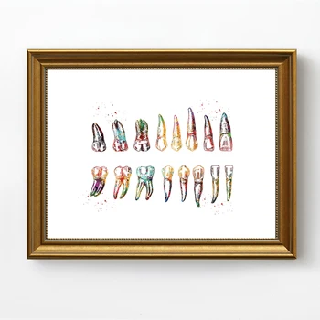 WANGART Druh Zub Plagát Zubné Umenie Zubár Plátno na Maľovanie Moderného Umenia Stene Obraz Pre Lekárske Vzdelávanie Office Home Decor