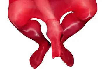 2019 Uzavretom Rozkroku Bodyhose Mužov sexy body S Penis Kryt Sexy Telo nylon Kombinézu otvorené / Zatvorené Penis Rukáv Pantyhose