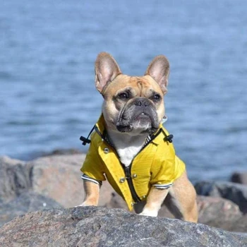 Windproof Psa Bunda S Klobúk pre francúzsky Buldog Vrecku Psie Oblečenie, Psie Oblečenie Šteňa Oblečenie Pes Príslušenstvo pre Veľké Psy