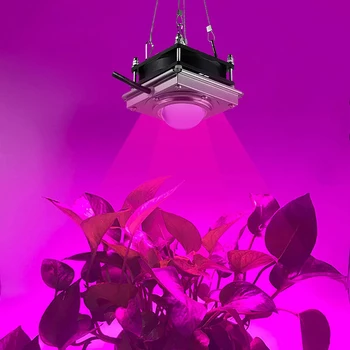 LED Phyto Lampa KLASU celé Spektrum LED Rásť Svetlo AC110V 220V Horticole Pre Vnútorné Sadenice, ktoré kvety Rastú Stan Box