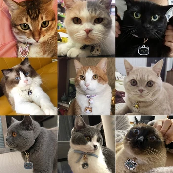 Osobné Mačka Značku S Ikonu Ručné Akryl ID Tag pre Mačky Obojok Mačiatko Rozkošný Štítku Nezávislá Pet Produktov