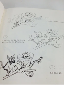 Čierne a Biele Ručne Maľované Kvety,Náčrt, maľovanie kniha pre maľovanie starter študentov v Čínštine ,goingbi maľovanie