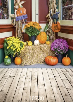 Šťastný Halloween Pozadie Úrodu Tekvíc a Chryzantémy na Bale Slamy Pozadia pre Štúdio Strany Novorodenca Photophone