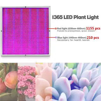 NÁS Na Sklade, 1500W 1365LED LED Rásť Svetlo celé Spektrum Rásť Svetlo LED Phytolamps pre Vnútorné Sadenice, Rastliny, Kvety Skleníky