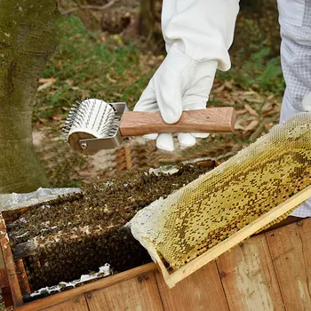Včelárstvo Honeycomb Extractor Uncapping Nehrdzavejúcej Ocele Ihlové Rake Med z Plástu, Škrabka Včelárskych Zariadení RT99