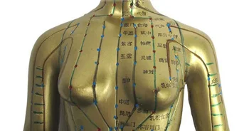 Meridian model ľudského akupunktúrny bod ľudské telo modelu 48 cm Zdravotníckeho Vzdelávania Spotrebiče žena 1pcs