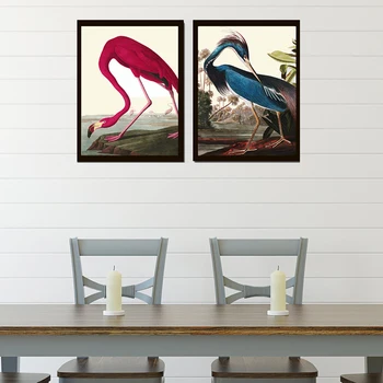 Audubon Ružová Vtákov Blue Heron Vtákov Tlačiť Krásne Starožitné Vintage Ilustračný Obrázok Kreslenie Domov Izba Stenu Decor Č Rám
