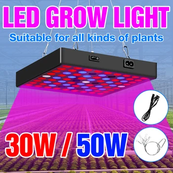 30W 50W Rastliny Rastú Svetlo LED celé Spektrum Phyto Lampa LED Sadeníc Fito Svetlá Vnútorné Kvet zrno Rastie Stan EÚ a USA, UK, Zapojte