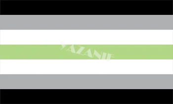 YAZANIE 128*192 cm > /160 x 240 cm/192*288cm Agender Aromantic Asexual Demisexual Neutrois Pride Vlajky a Transparenty LGBT Dúhová Vlajka