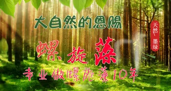 Čínskych Yunnan Green Organická Spirulina Prírodný Čaj Tabletky Proti únave Zvyšovať imunitný Slim Tablet Spirulina