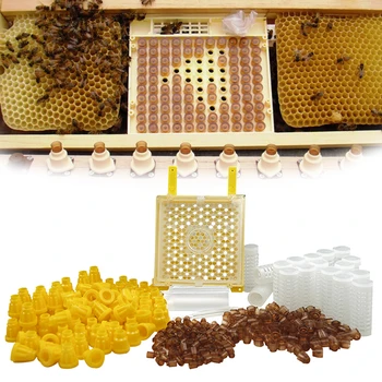 Nemecko Jenter Kráľovná Chov Auta Nicot Včelích Kráľovien Chov Systém Queen Bee Larva Pohyb Klietky Tovaru Nástroj Pre Včelár Dodávky