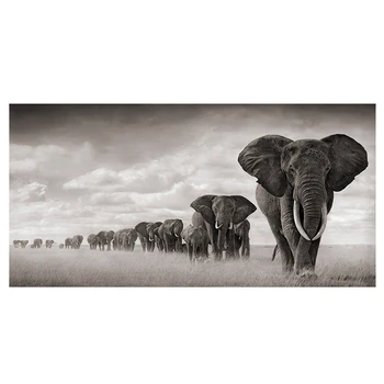 Prírody, Zvierat Žijúcich Slon Plátno Maľovaní Plagátov Vytlačí Wall Art Obrázky Pre Obývacia Izba Domov Cuadros