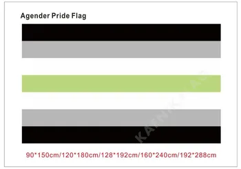 KAFNIK,90*150 cm/128*192 cm > /192*288cm (2*3 ft/3*5 ft) Agender pride Príznak pre Udalosť/party/home Dekoratívne Vlajky