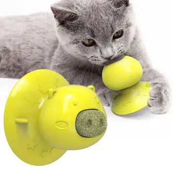 Mačka Lízať Hračky Mačiatko Kitty Mint Lízanie Molekulová Prísavkou