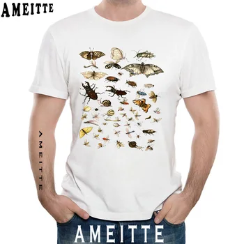Nové Letné Mužov, T Košele Zbierku Hmyzu Tlačiť T-Shirt Zábavné Entomology Chyby Ilustrácia Huby Dizajn Topy Muž Tees
